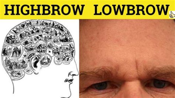 what does highbrow mean