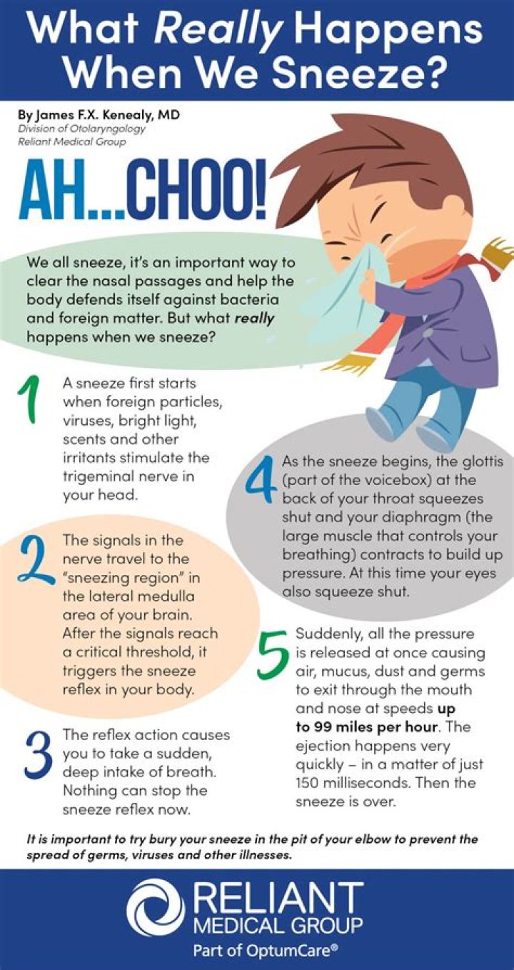 What does it mean if you sneeze a lot