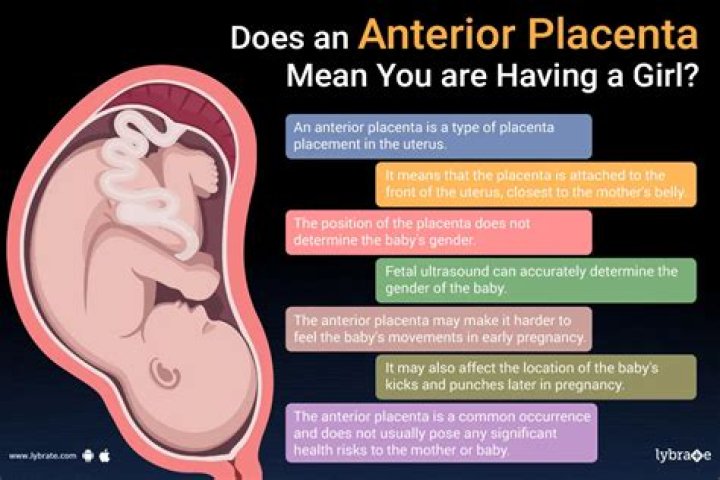 What does it mean if your baby is alert