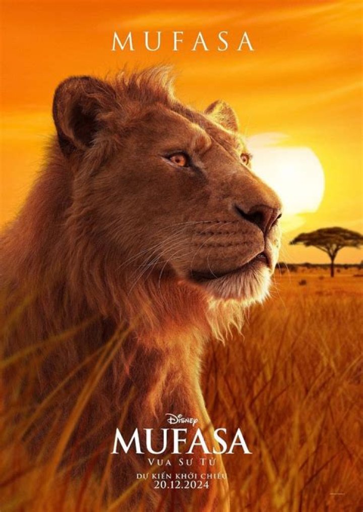 What does Mufasa say to Simba Pride Rock?