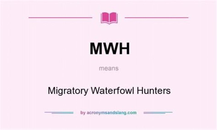 what does mwh mean