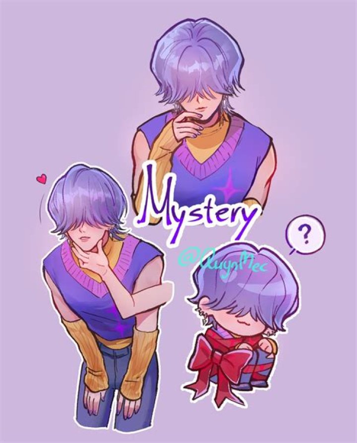 What does mystery genre mean