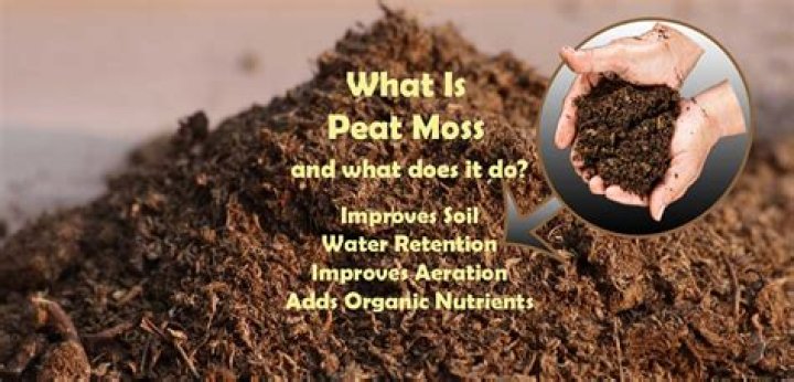 What does peat moss do for a vegetable garden