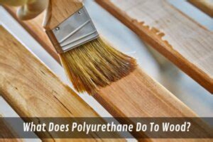 What does Polyurethane do for wood?