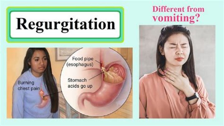What does regurgitation mean?