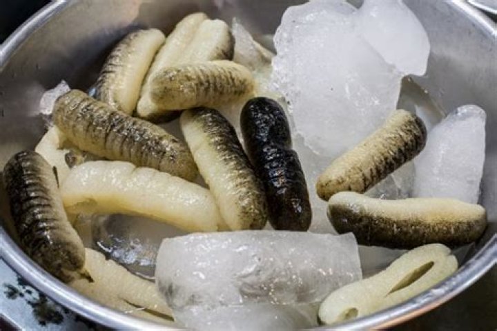 what does sea cucumber taste like