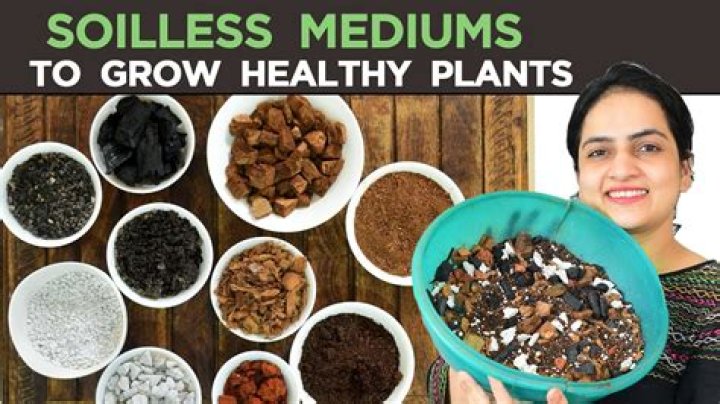 What does soilless medium mean