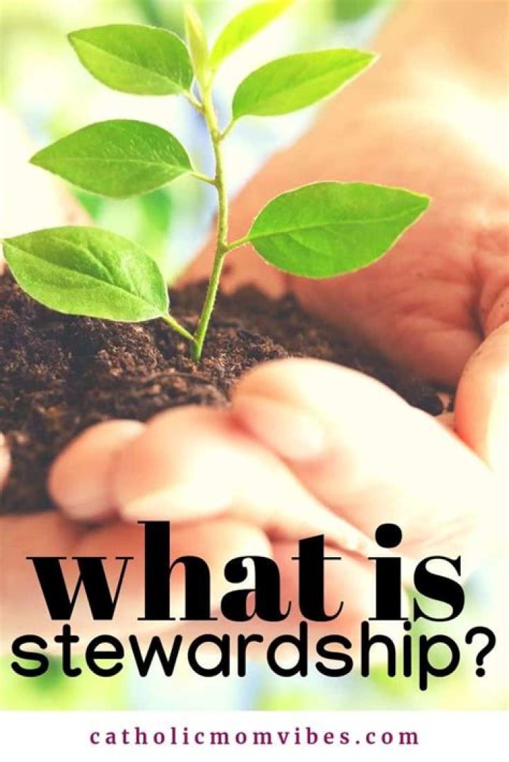 What does stewardship mean in science?