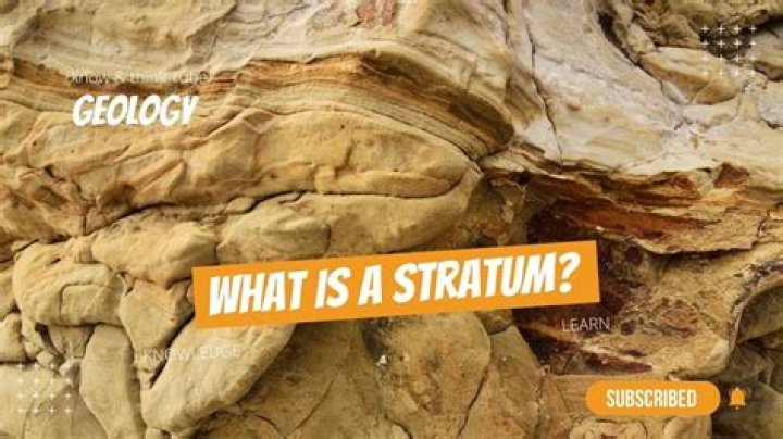 what does stratum mean