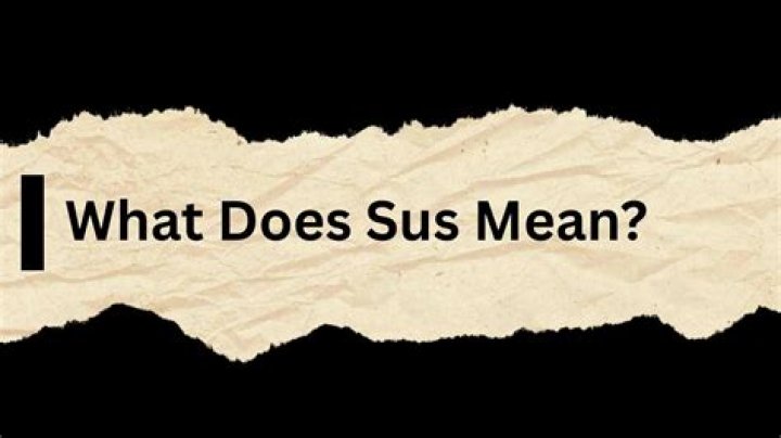 What does that boy sus mean?
