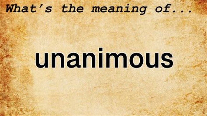 What does unanimous mean in TKAM?
