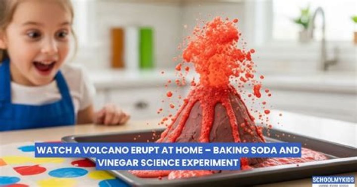 What does vinegar represent in a volcano