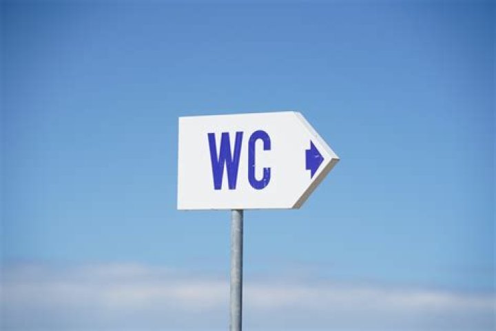 What does WC stand for Ffxiv?