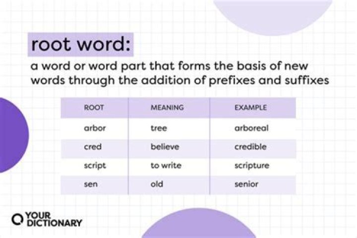 What does word root mean in medical terminology?