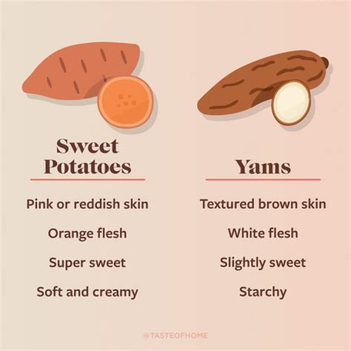 what does yam taste like