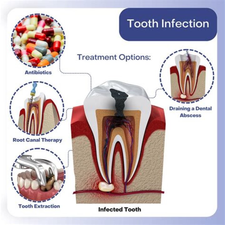 What each tooth is used for