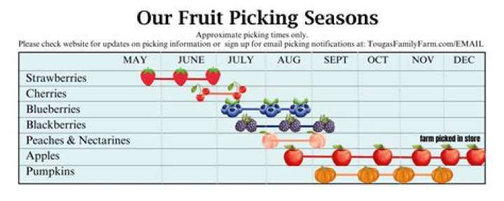 What fruit picking is in season