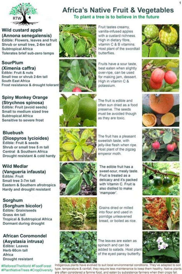 What fruits are native to Peru