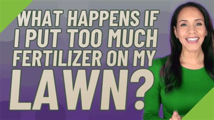 What happens if I put too much fertilizer on my lawn