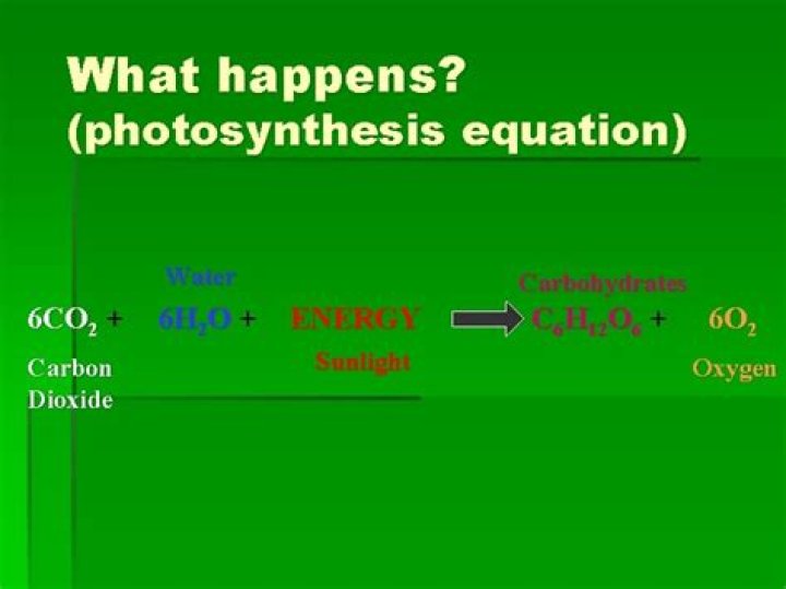 What happens photosynthesis