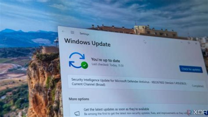 What happens when you apply update from adb?