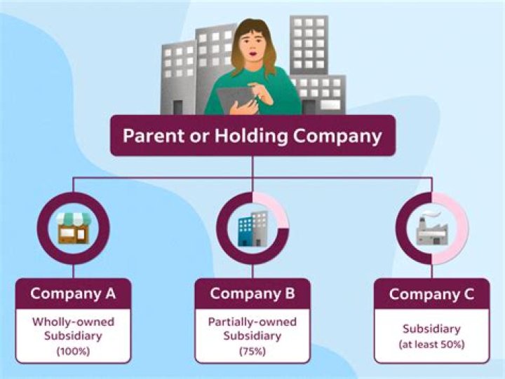 What holdings are in WCLD?