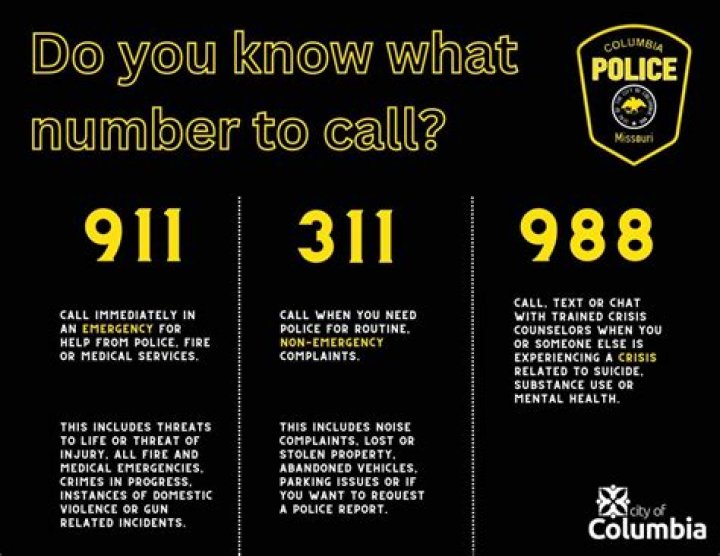 What is a 311 police code?