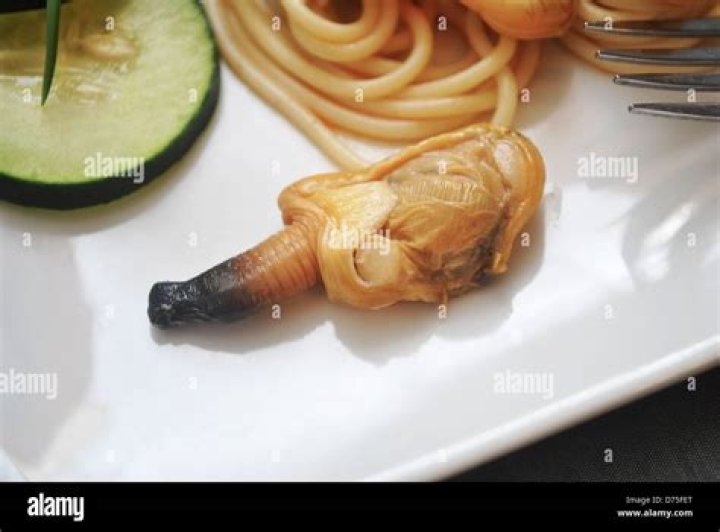 What is a clam belly