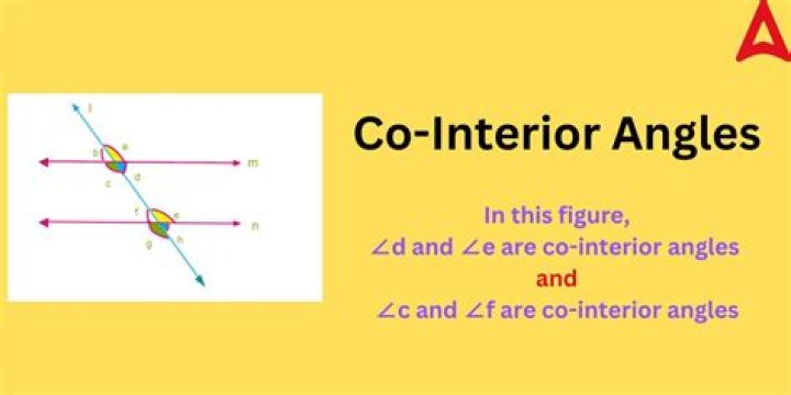 what is a co interior angle