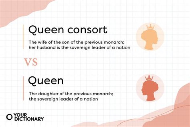 what is a consort