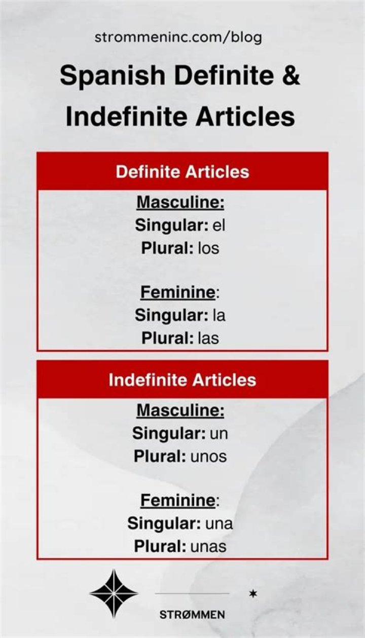 What is a definite article Spanish