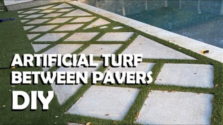 What is a good ground cover for between pavers?