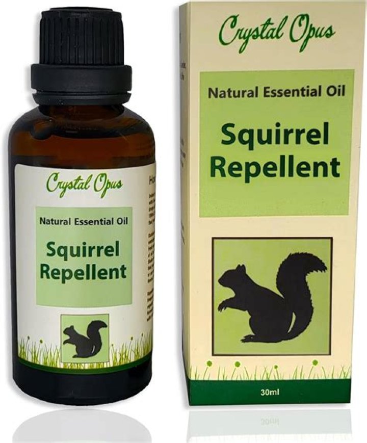 What is a good natural squirrel repellent?