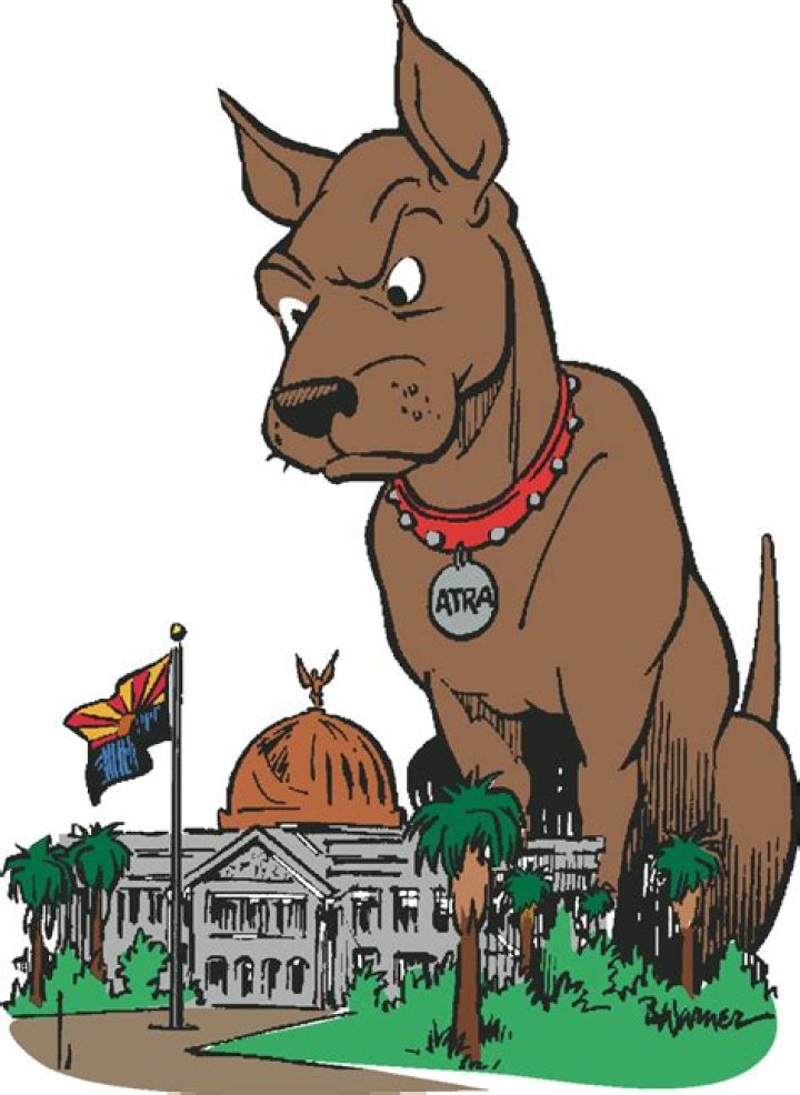 What is a government watchdog