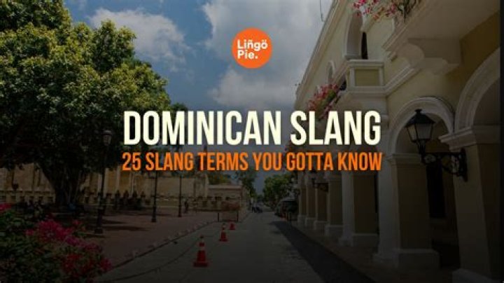What is a Palomo Dominican slang