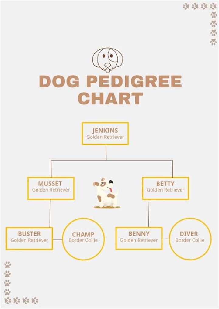 What is a pedigree for kids