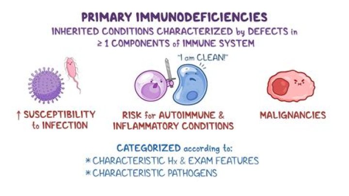 What is a secondary immunodeficiency