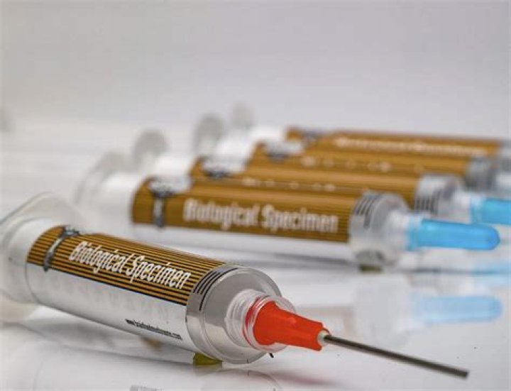 What is a spore syringe