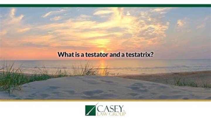 What is a Testatrix in a will