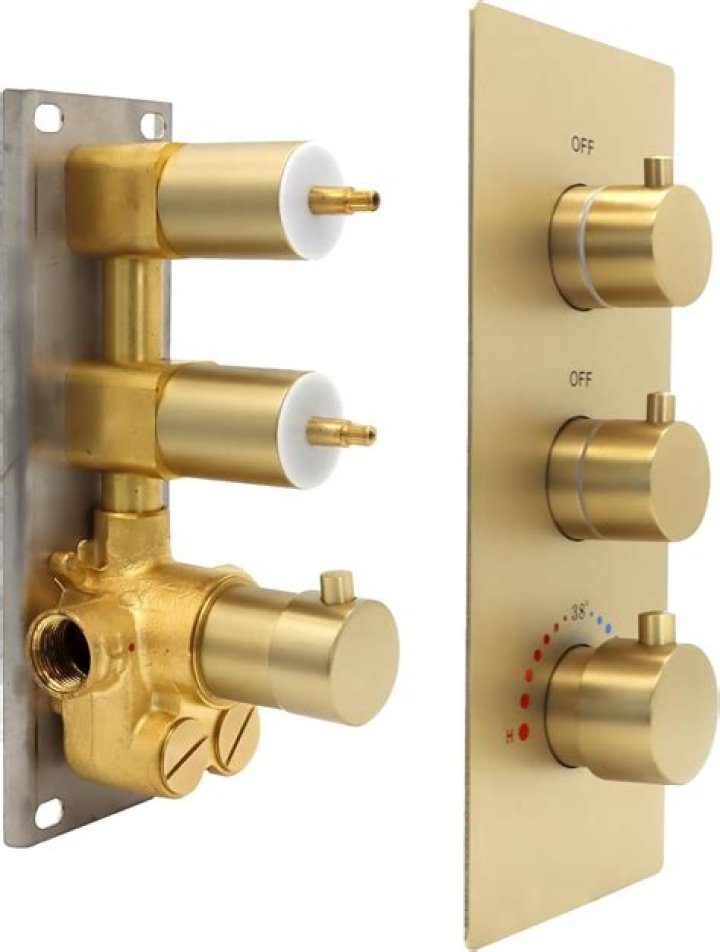 What is a two way shower valve