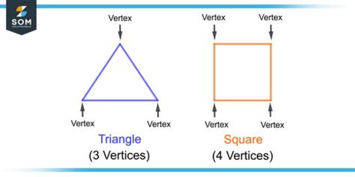 what is a vertices