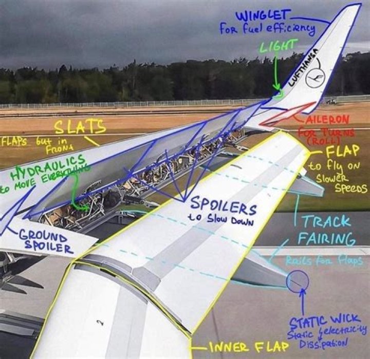 What is a wing shot?
