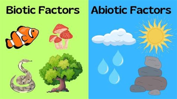 what is abiotic