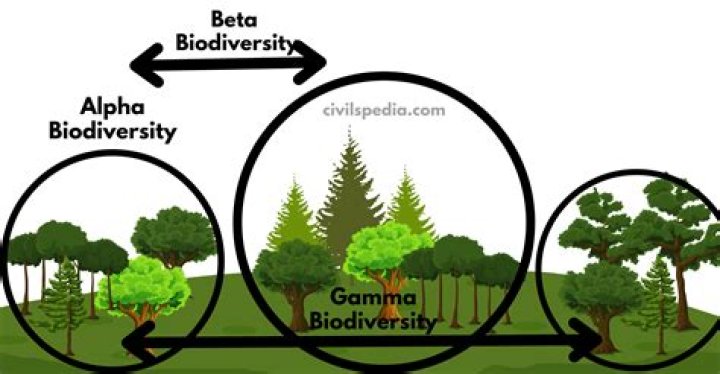 What is Alpha Beta and Gamma biodiversity
