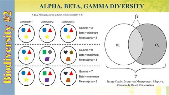 What is alpha diversity beta diversity and gamma diversity