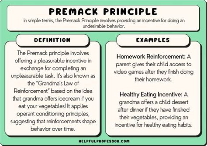 What is an example of the Premack principle