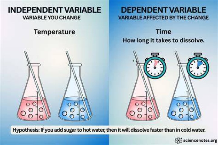 what is an experimental variable