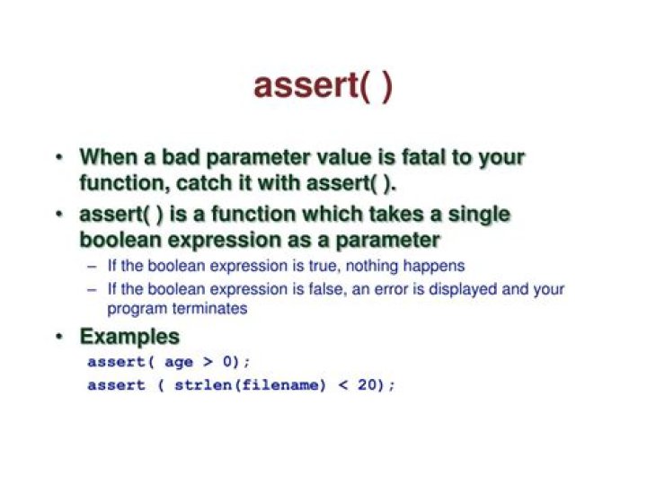 What is assert () in C