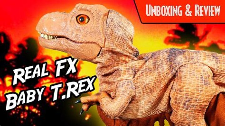 What is Baby Trex called