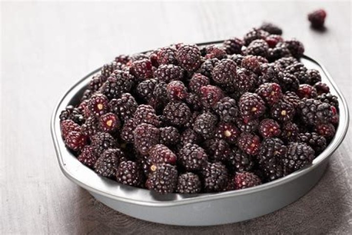 What is boysenberry made of